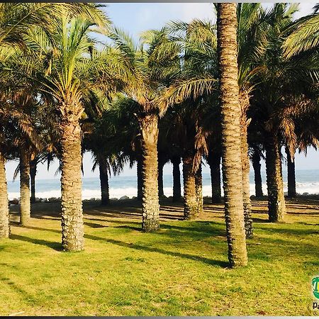 Palmeras Del Golf - Torrequebrada Benalmádena Szoba fotó