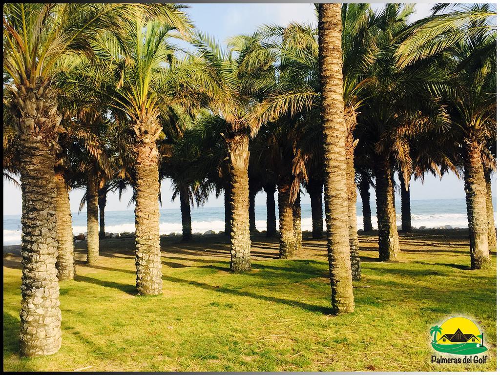 Palmeras Del Golf - Torrequebrada Benalmádena Szoba fotó